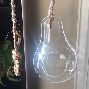 Pear shaped hanging glass terrarium